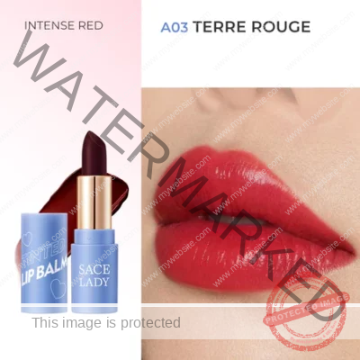 SACE LADY Tinted Lip Balm Theraphy Magic Lasting Waterproof Lip Tint & Stain Lipstick High Pigmented (A03 TERRE ROUGE)