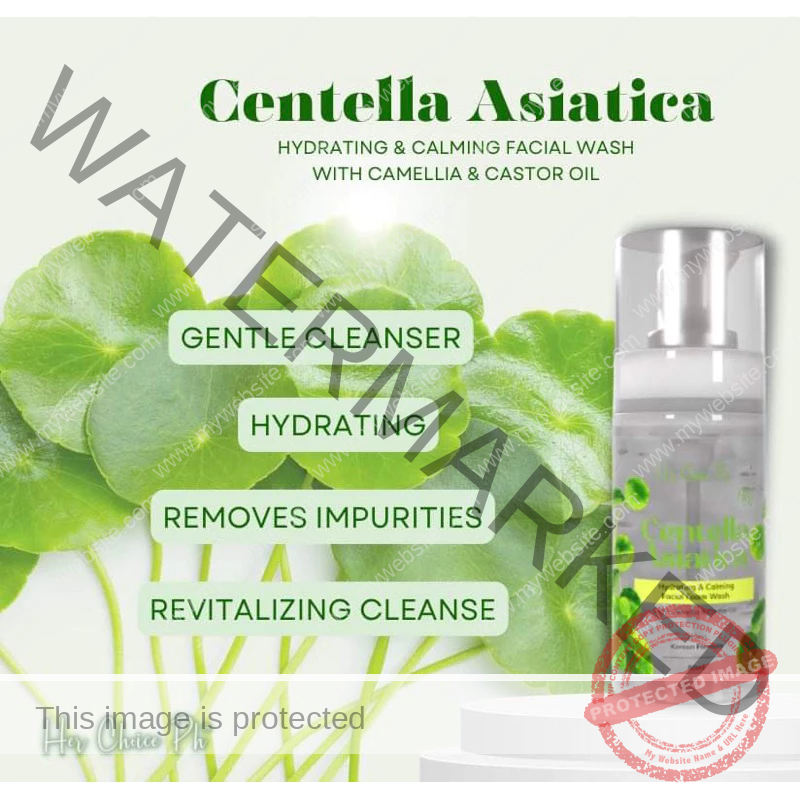 HERCHOICE Ph CENTELLA ASIATICA PREMIUM REPAIR SET - Image 3